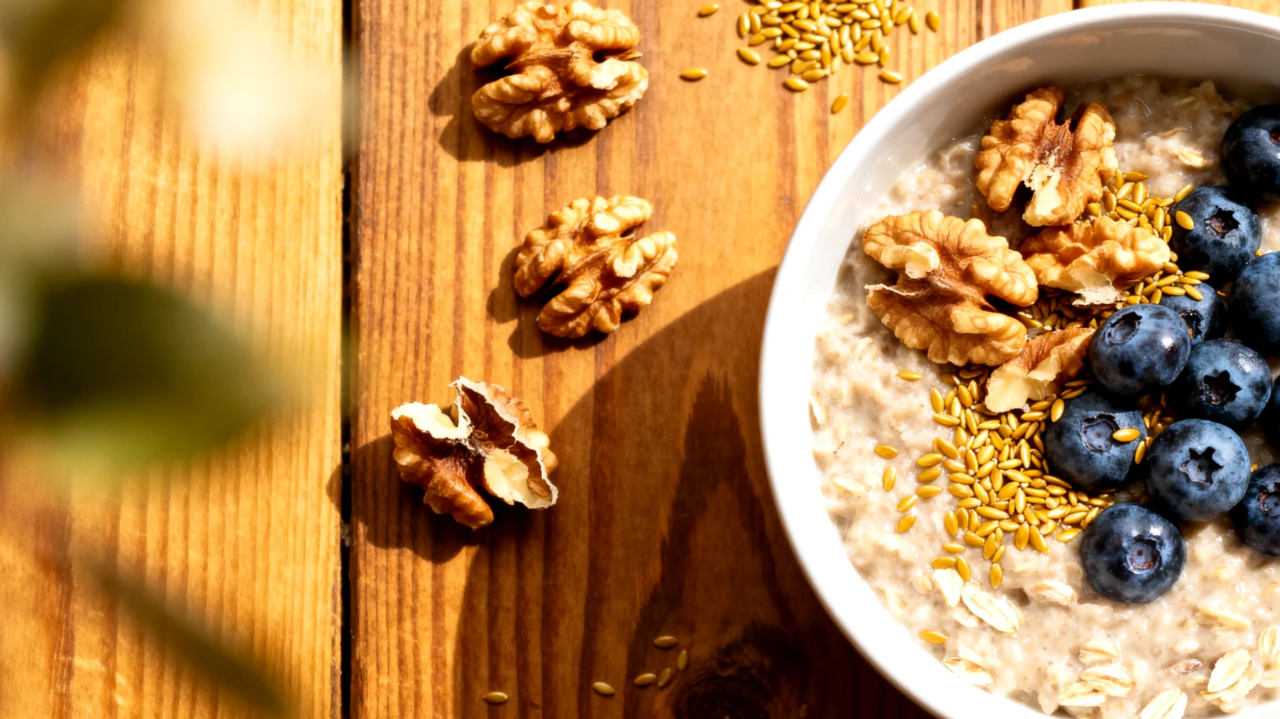 Hafer-Porridge mit Walnüssen, Leinsamen und Blaubeeren"